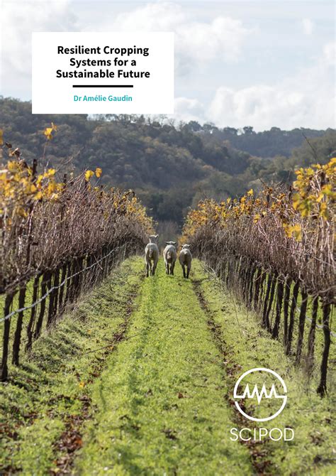  Cropping for Sustainability: A Portrait of Resilient Farming Practices - Unearthing Ancient Wisdom in a Modern Context