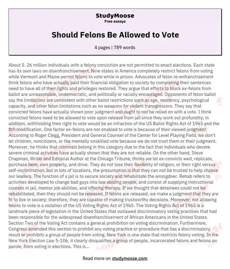 Should Felons Be Allowed to Vote Essay: A Debate Between Justice and Rehabilitation