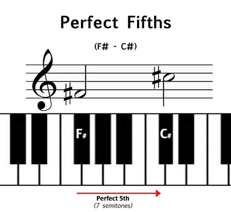 What is a Fifth in Music? And Why Does It Sound Like a Cosmic Joke?